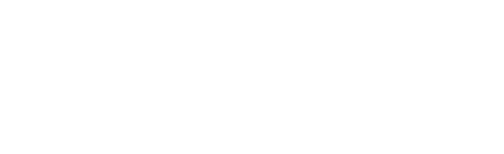 VIN1